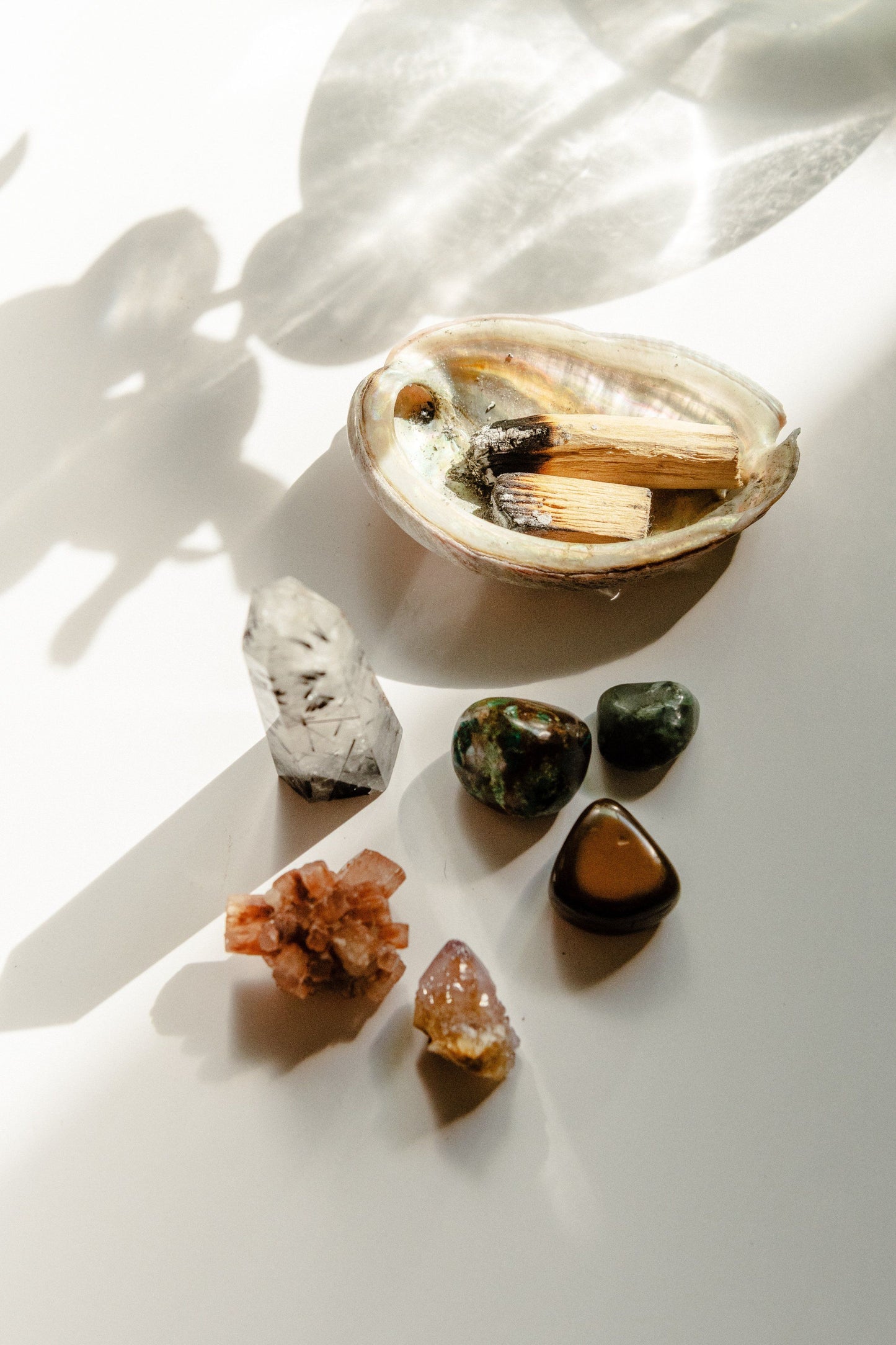 Palo Santo Premium Luxury Fragrance Oil | C & C