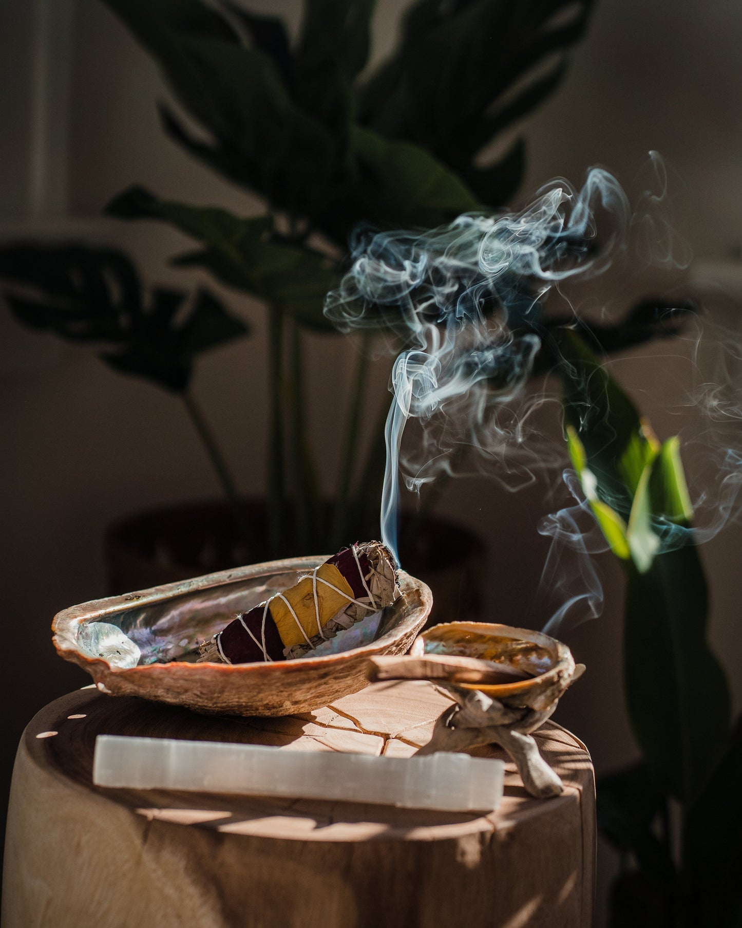 Palo Santo Premium Luxury Fragrance Oil | C & C