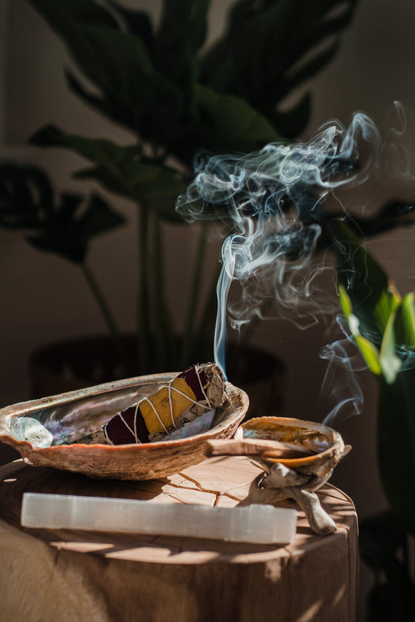 Palo Santo Premium Luxury Fragrance Oil | C & C