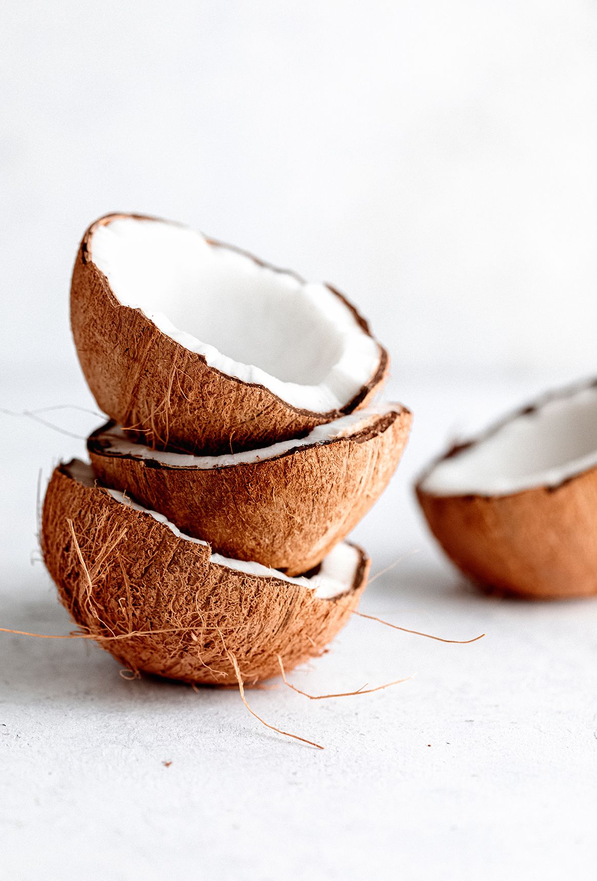 Coconut Cream + Eucalyptus Premium Fragrance Oil