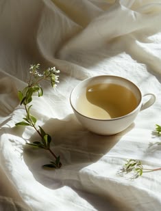 Steeped in Serenity Fragrance Oil