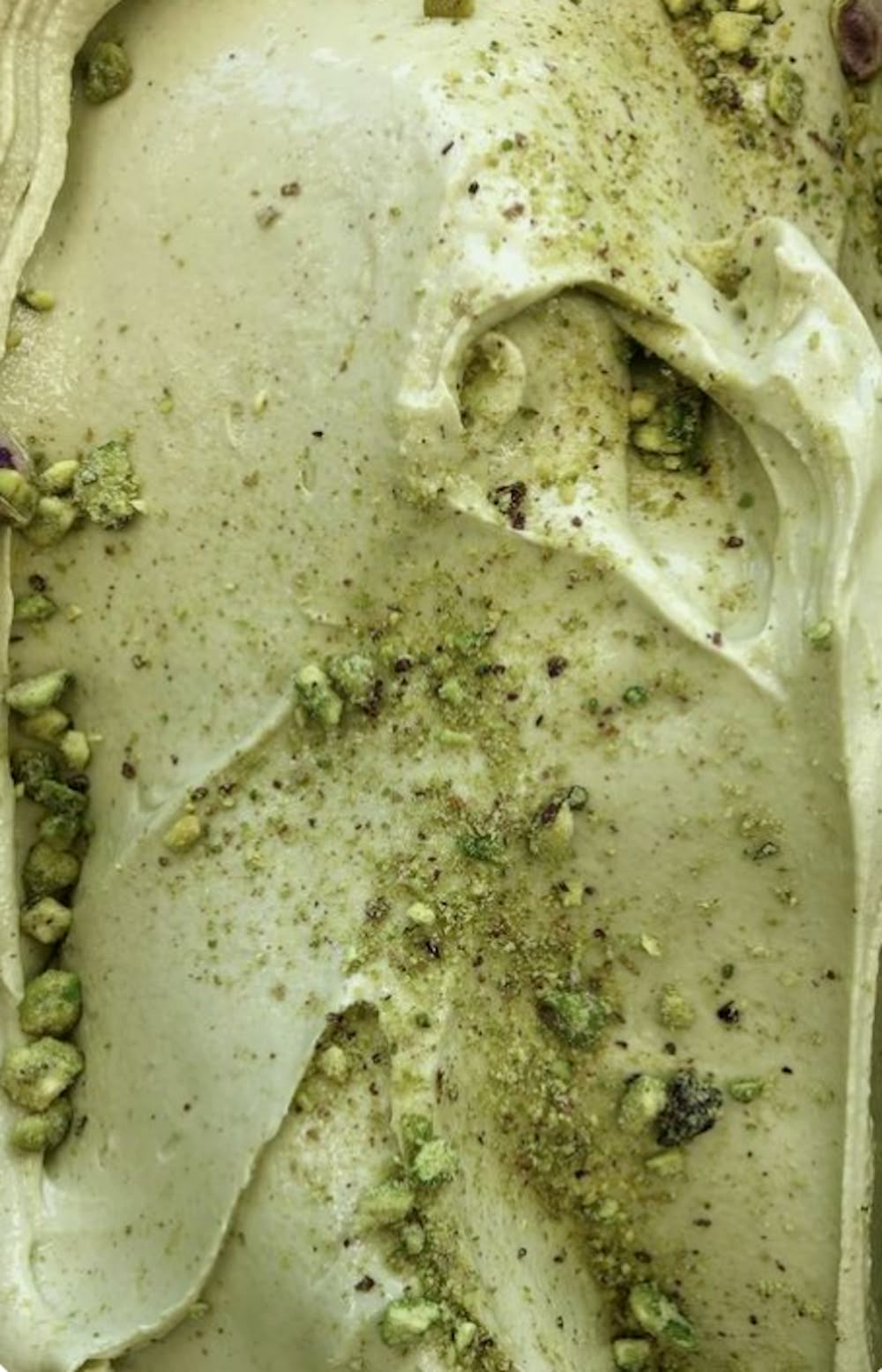 Venetian Vanilla + Pistachio Cream Premium Luxury Fragrance Oil