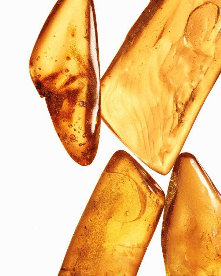 Spice + Sunshine Premium Fragrance Oil | Makesy Dupe