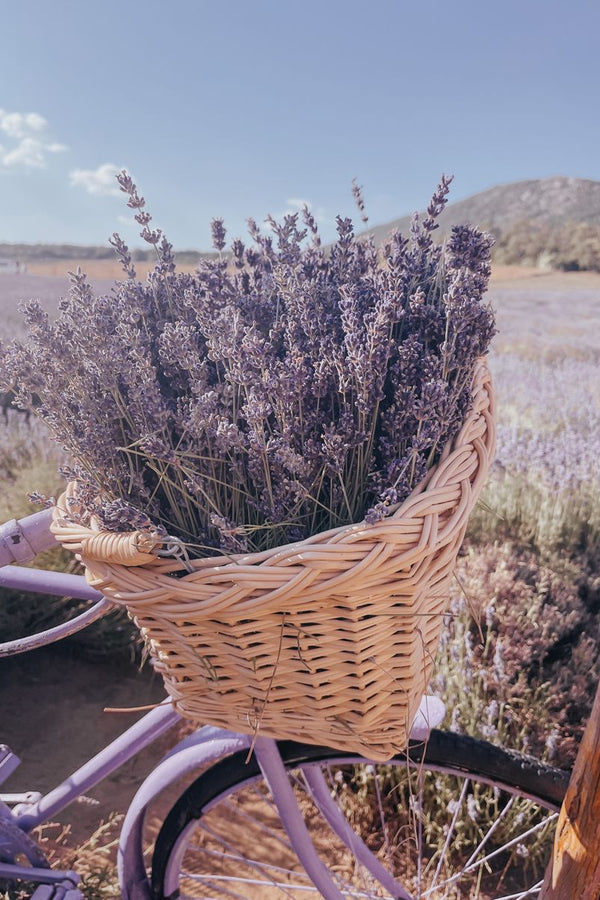 Lemon & Lavender Premium Luxury Fragrance Oil