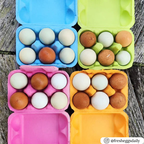 Multi-Colour Easter Egg Cartons