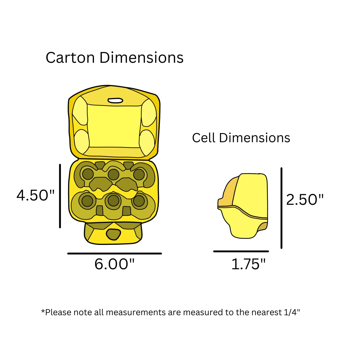 Multi-Colour Easter Egg Cartons