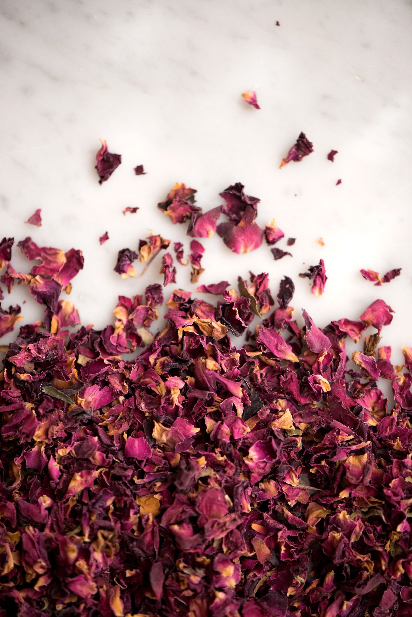 Rose Buds + Rose Petals | Red