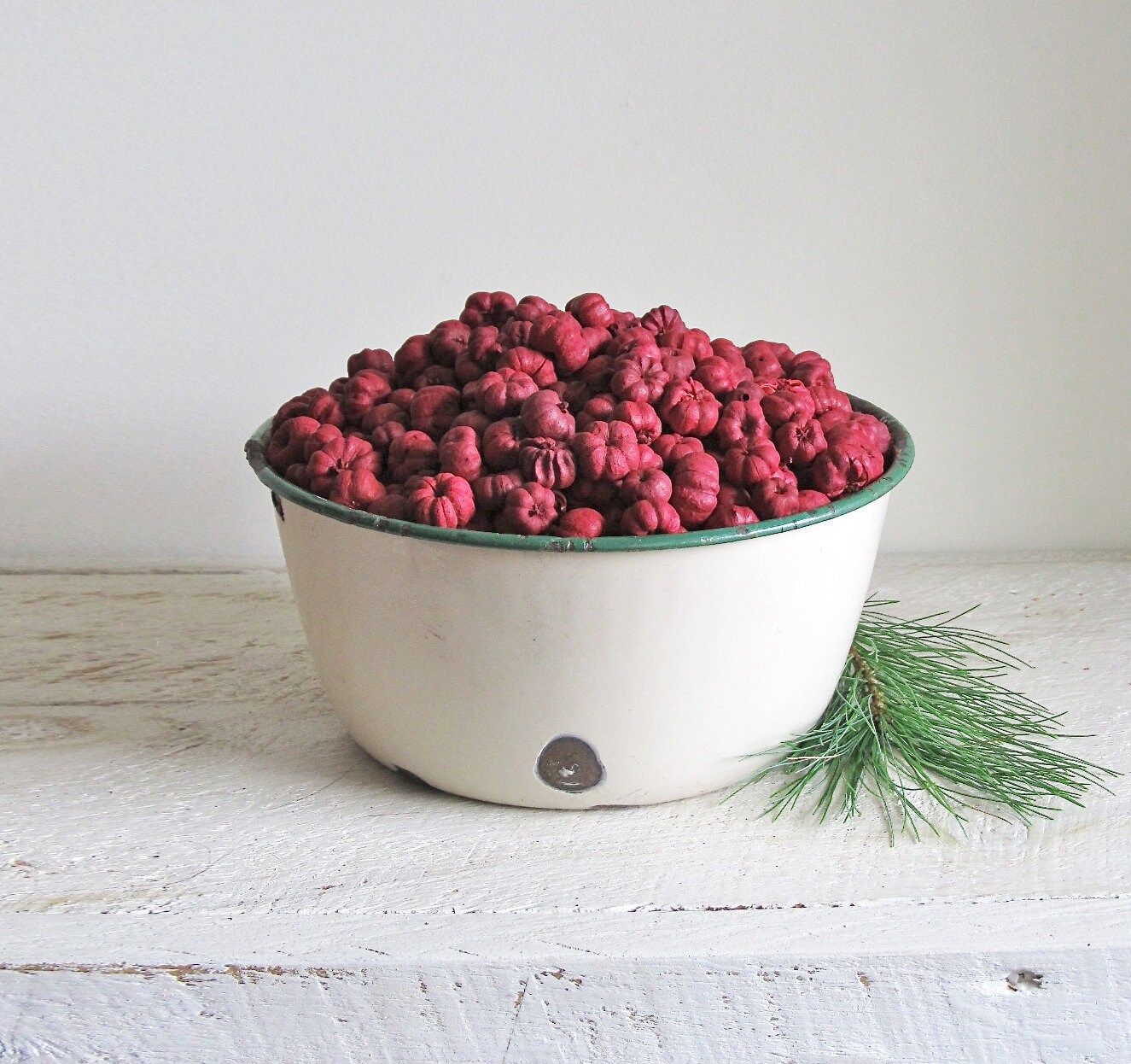 Burgundy Putka Pods (Mini Pumpkins)
