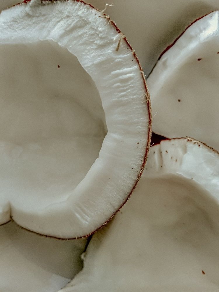 Coconutty Premium Luxury Fragrance Oil | C & C Fragrance