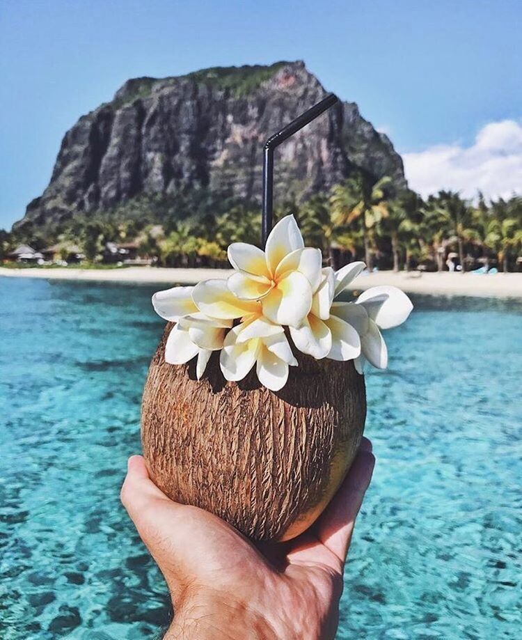 Coconutty Premium Luxury Fragrance Oil | C & C Fragrance
