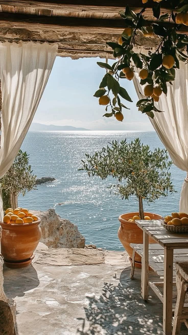 Elysian Coast Premium Luxury Fragrance Oil | Sailing Day by Maison Margiela Dupe