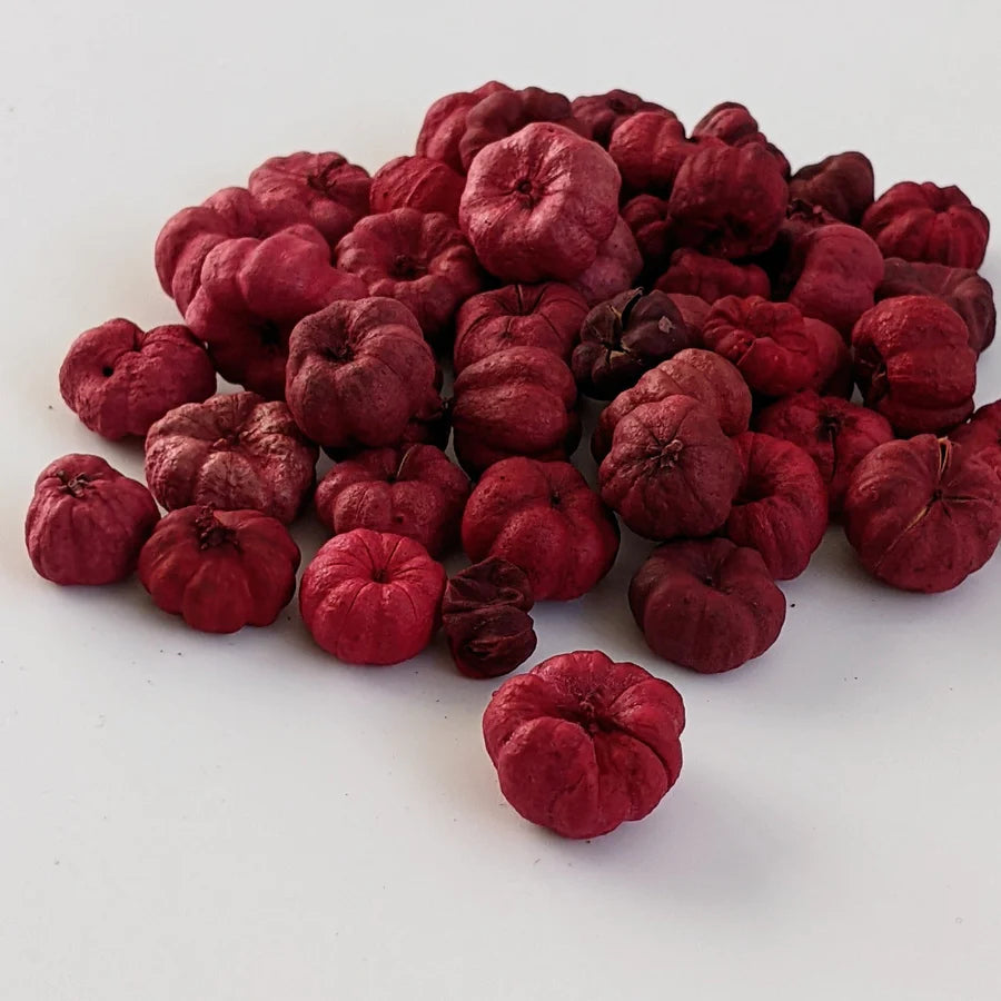Red Putka Pods (Mini Pumpkins)
