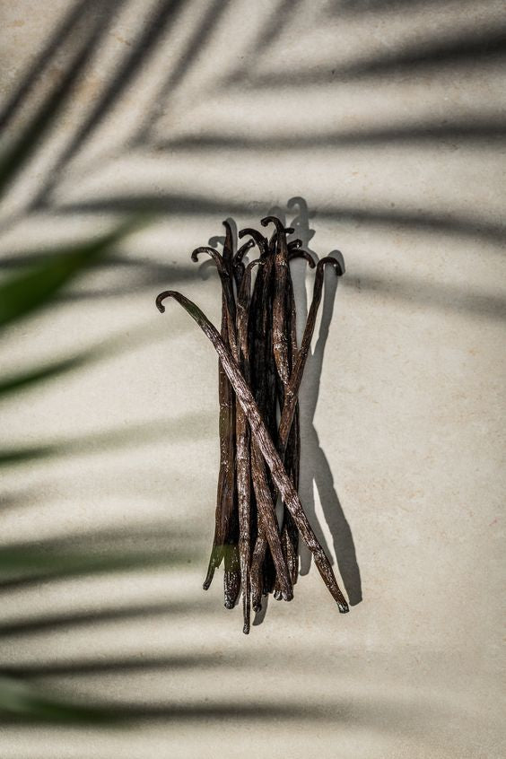 French Vanilla Premium Luxury Fragrance Oil