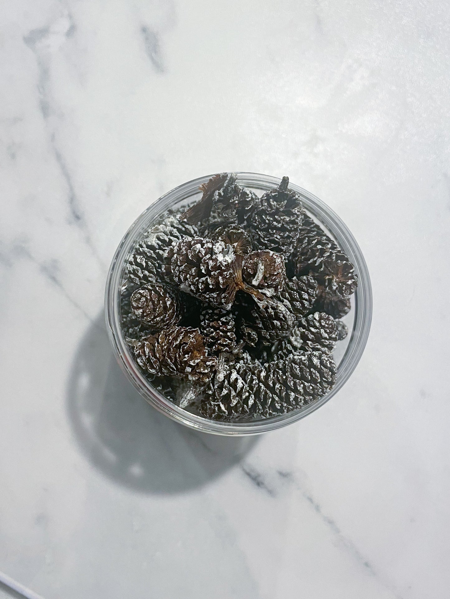 White Frosted Mini Birch Cones