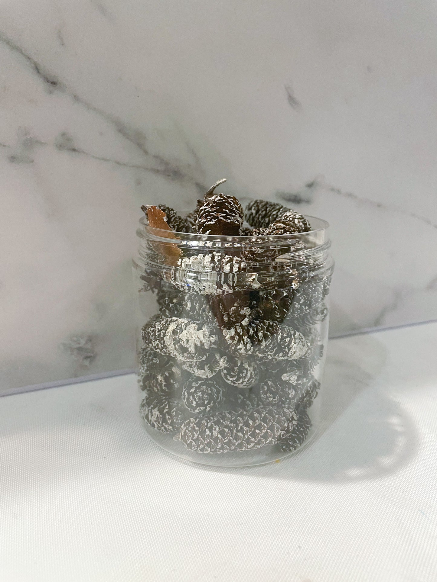 White Frosted Mini Birch Cones