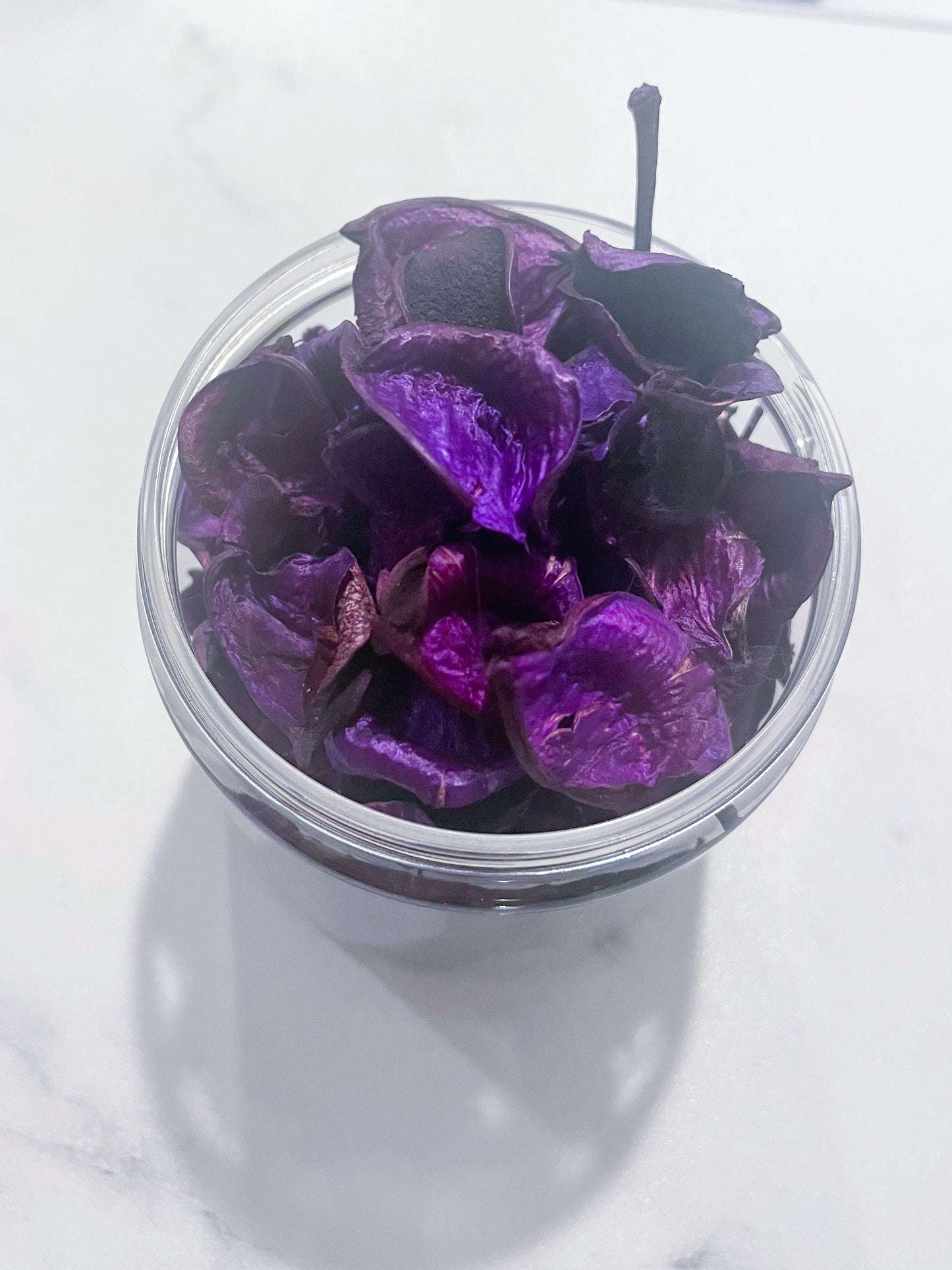 Purple Cotton Pods