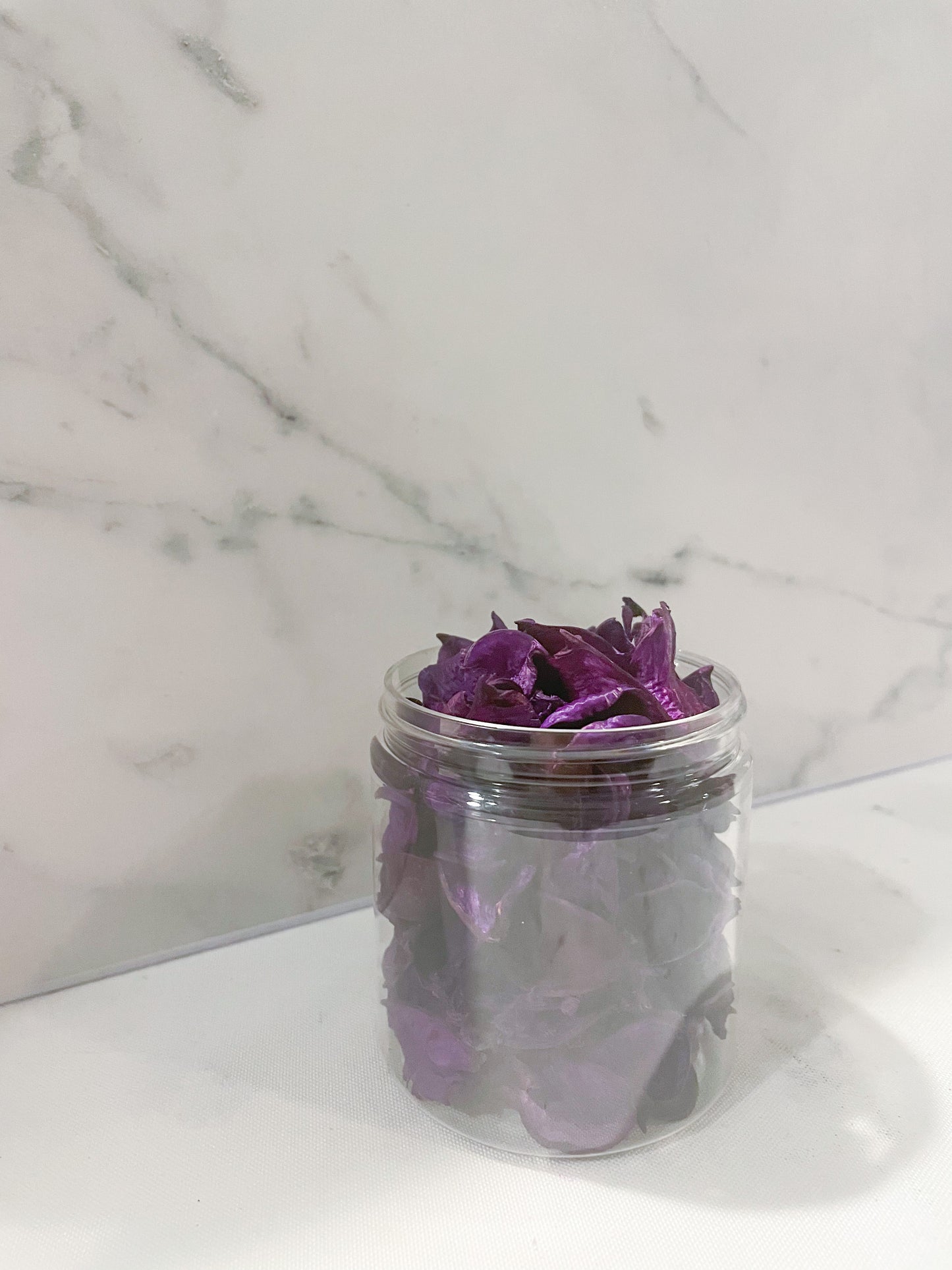 Purple Cotton Pods