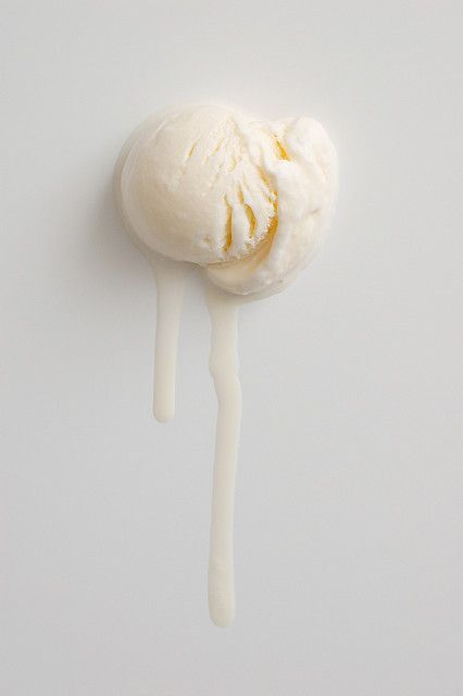 Vanilla Bean Premium Fragrance Oil