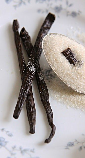 French Vanilla Premium Luxury Fragrance Oil