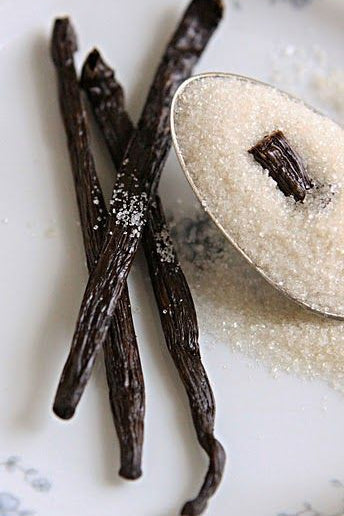 French Vanilla Premium Luxury Fragrance Oil