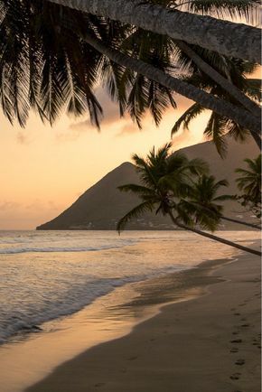Tropical Beach Breeze Premium Fragrance Oil