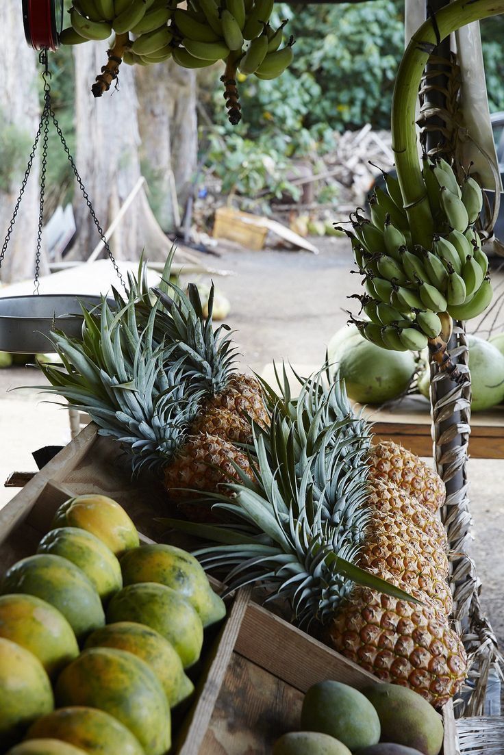 Pineapple Premium Fragrance Oil