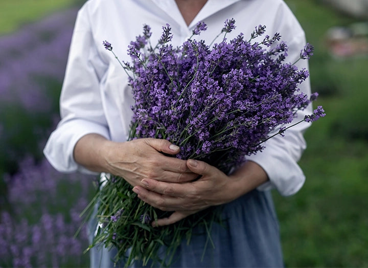Lavender Essential Oil | 100% Organic, Concentrated, USDA Certified