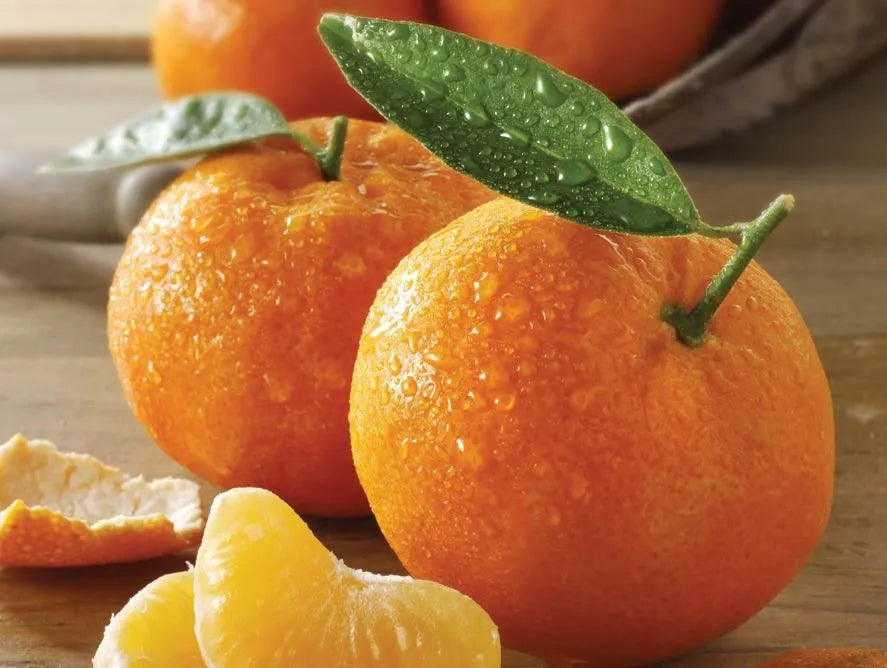 Sweet Orange Essential Oil | 100% Organic, Concentrated, USDA Certified