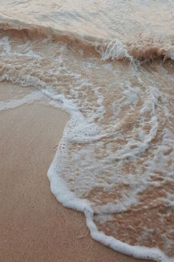 Wood Sage + Sea Salt Premium Luxury Fragrance Oil