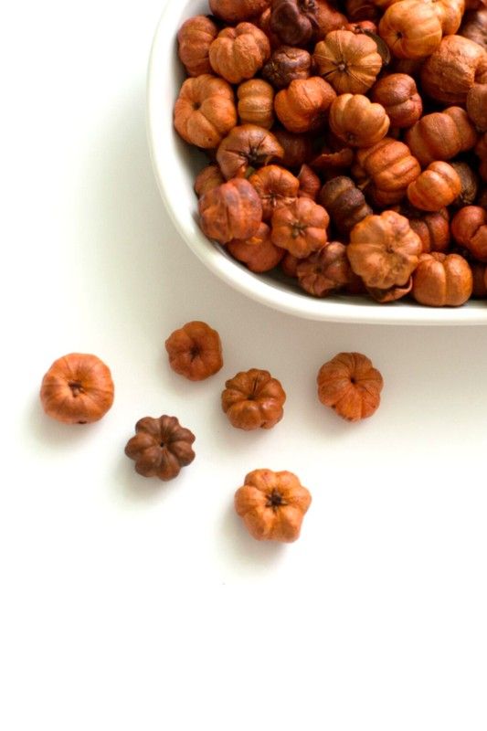 Orange Putka Pods (Mini Pumpkins)