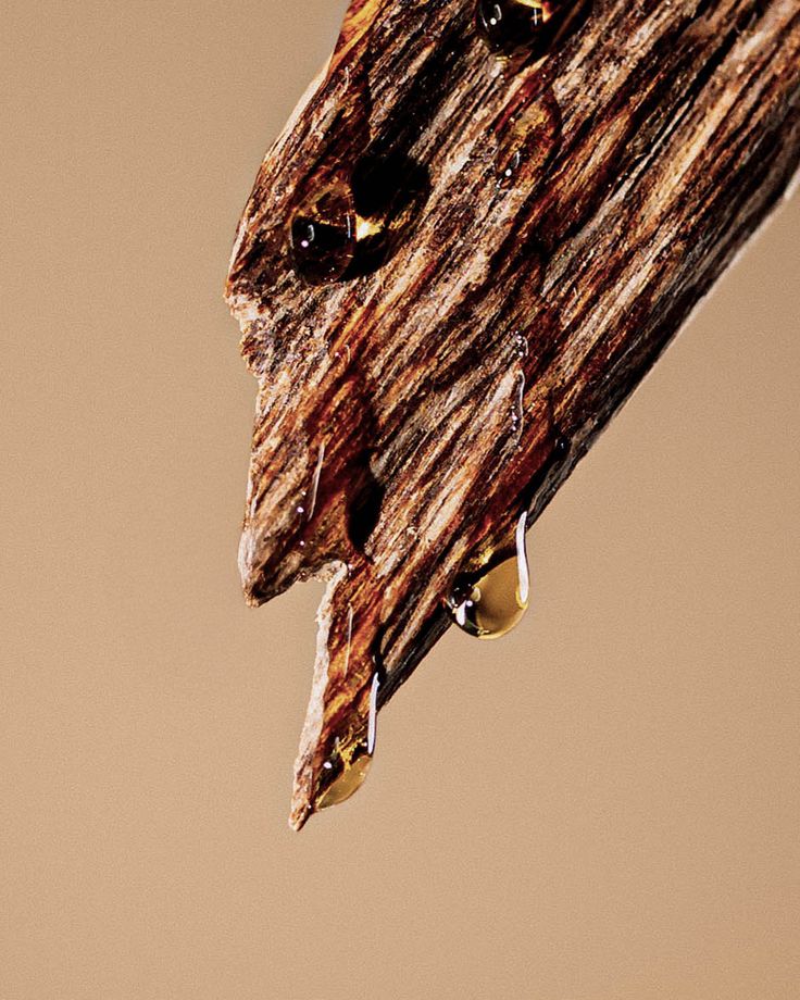 [Pre-Order] Oud Nocturne | Tom Ford Oud Wood Type Premium Luxury Fragrance Oil