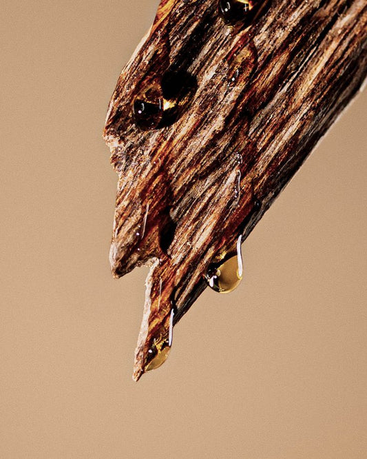 [Pre-Order] Oud Nocturne | Tom Ford Oud Wood Type Premium Luxury Fragrance Oil