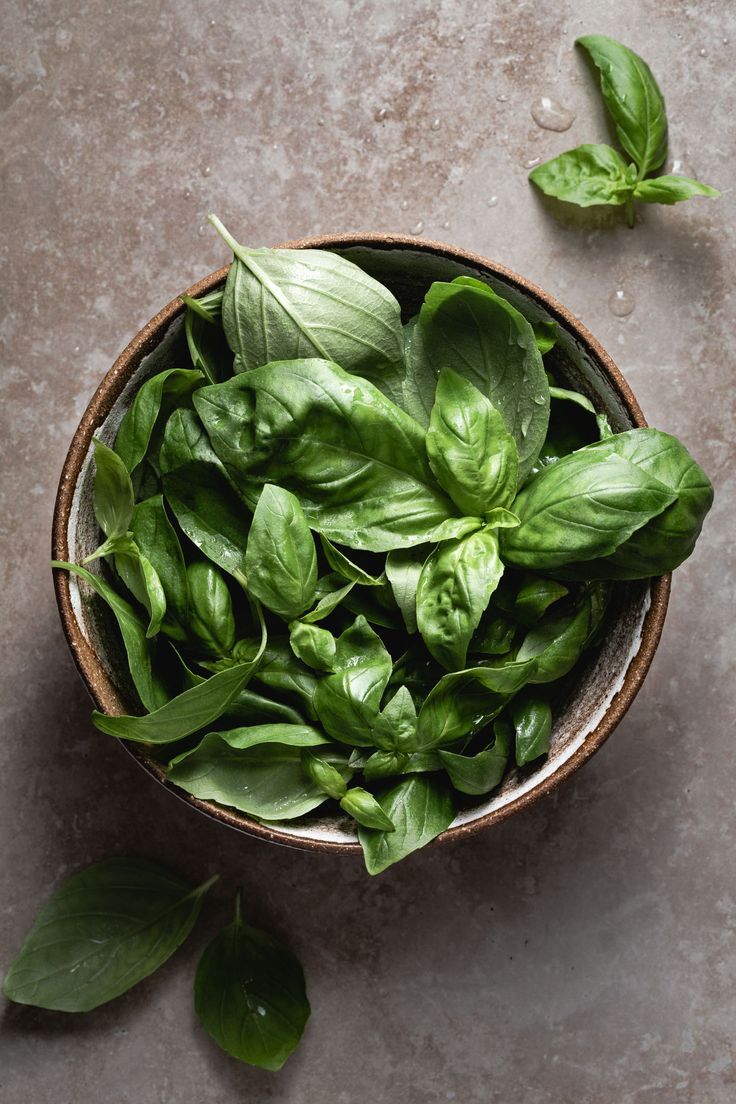 [Pre-Order] Amalfi Citrus | Jo Malone Lime Basil + Mandarin | Type Premium Luxury Fragrance Oil