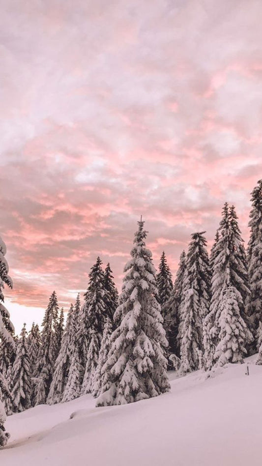 [Pre-Order] Nordic Vinterskog Pine Premium Fragrance Oil