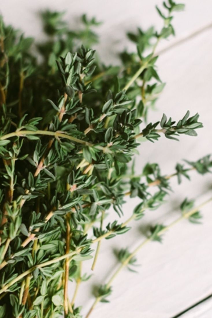 Steeped in Serenity Fragrance Oil