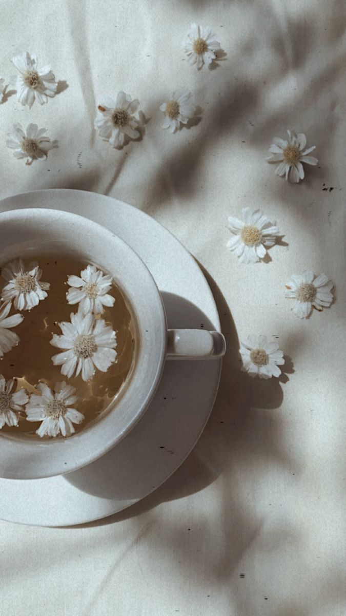 Steeped in Serenity Fragrance Oil