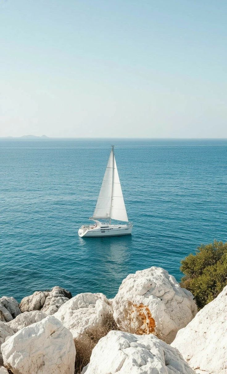 Elysian Coast Premium Luxury Fragrance Oil | Sailing Day by Maison Margiela Dupe