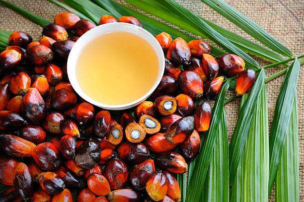 Palm Oil, Organic, Palm Done Right | Huile de palme, biologique, RSPO, Palm Done Right