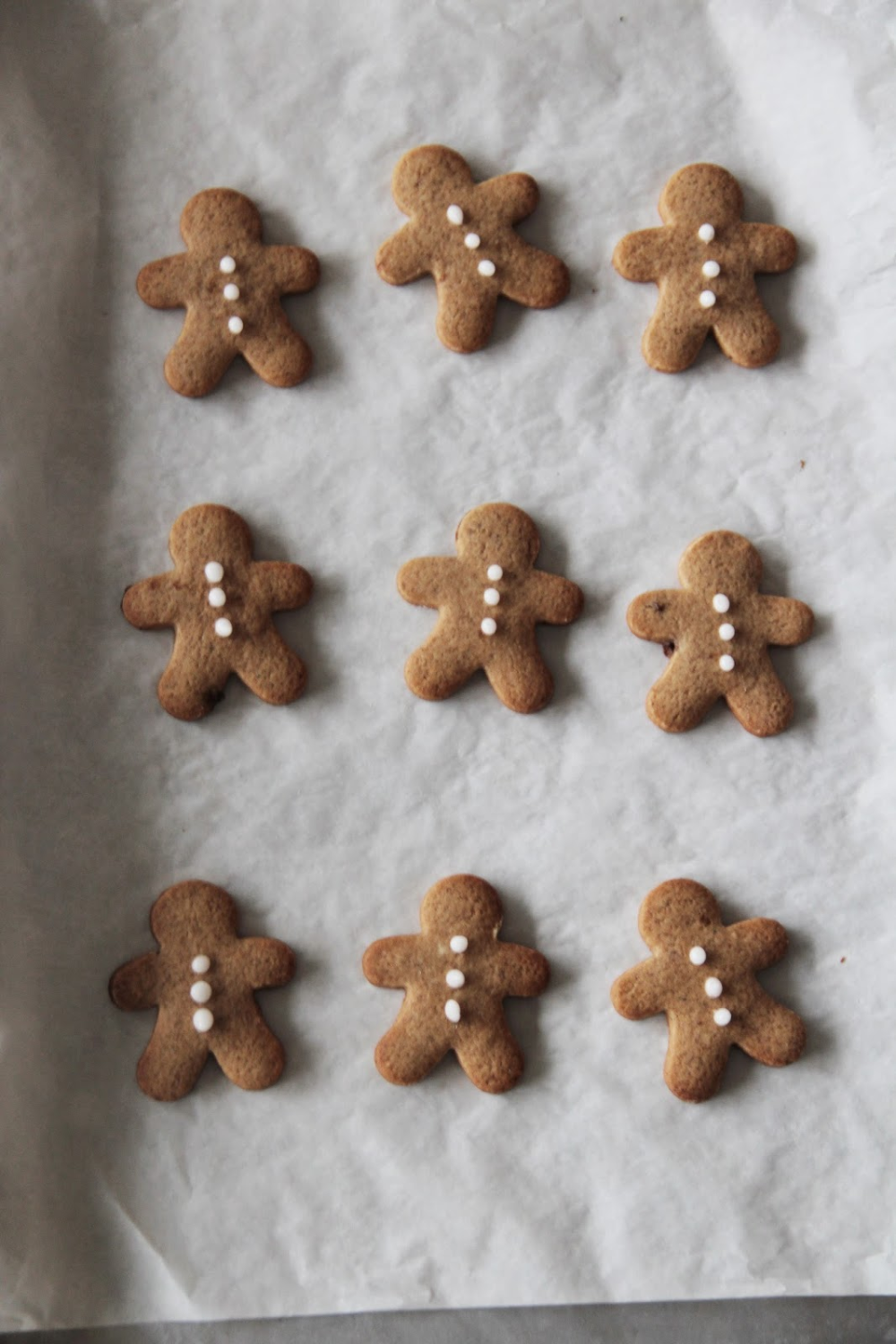 Frosted Gingerbread Premium Fragrance Oil